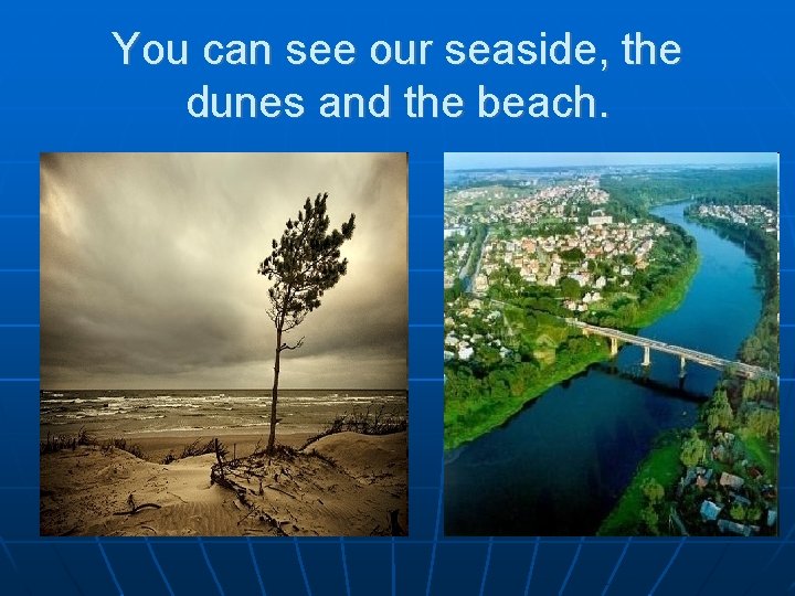 You can see our seaside, the dunes and the beach. 