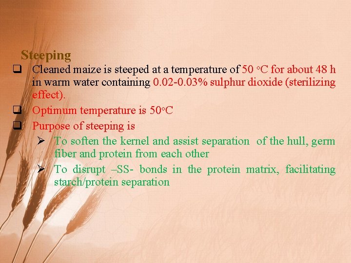 Steeping q Cleaned maize is steeped at a temperature of 50 o. C for