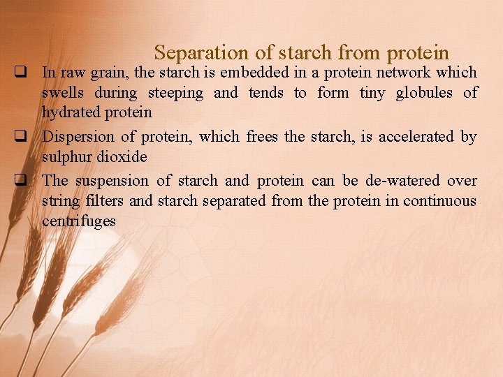 Separation of starch from protein q In raw grain, the starch is embedded in