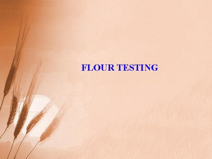 FLOUR TESTING 