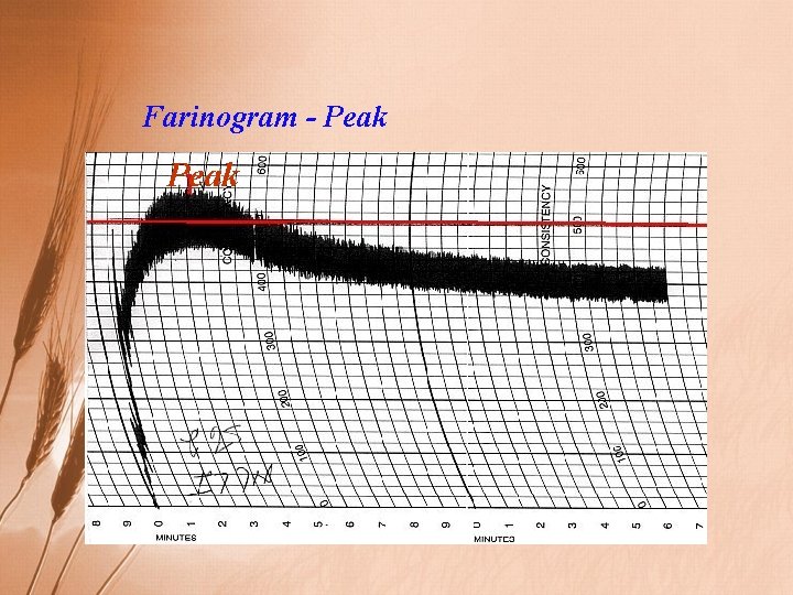 Farinogram - Peak 