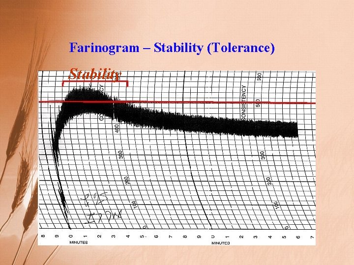 Farinogram – Stability (Tolerance) Stability 