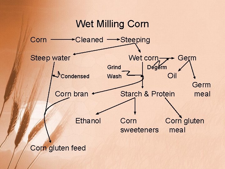 Wet Milling Corn Cleaned Steep water Condensed Corn bran Wet corn Germ Grind Degerm