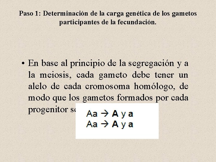 Paso 1: Determinación de la carga genética de los gametos participantes de la fecundación.