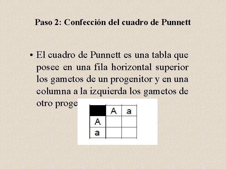 Paso 2: Confección del cuadro de Punnett • El cuadro de Punnett es una