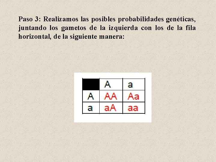 Paso 3: Realizamos las posibles probabilidades genéticas, juntando los gametos de la izquierda con