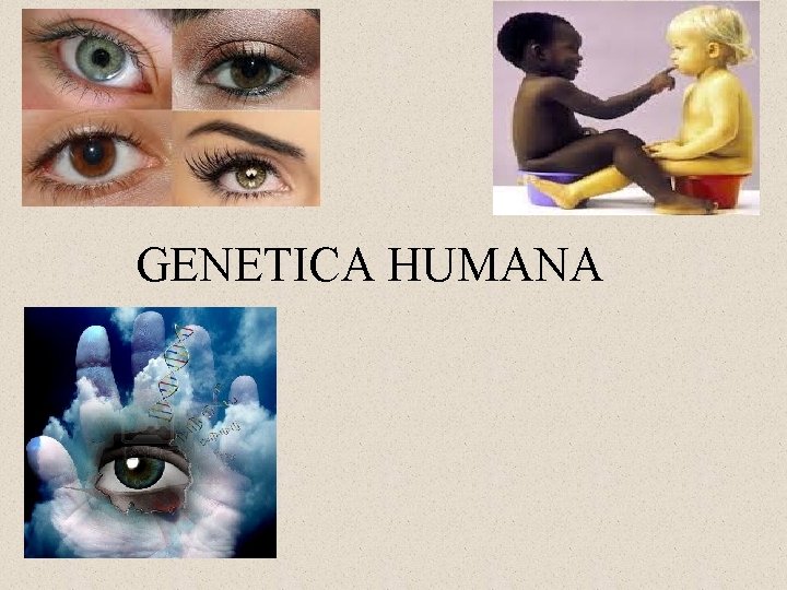 GENETICA HUMANA 