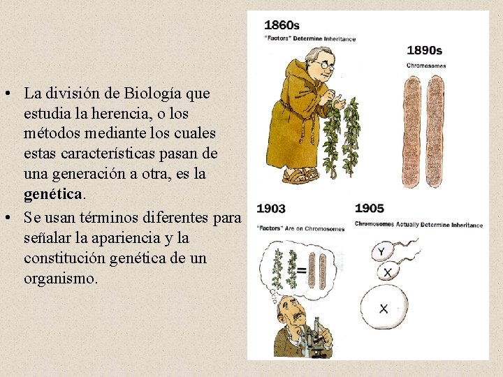  • La división de Biología que estudia la herencia, o los métodos mediante