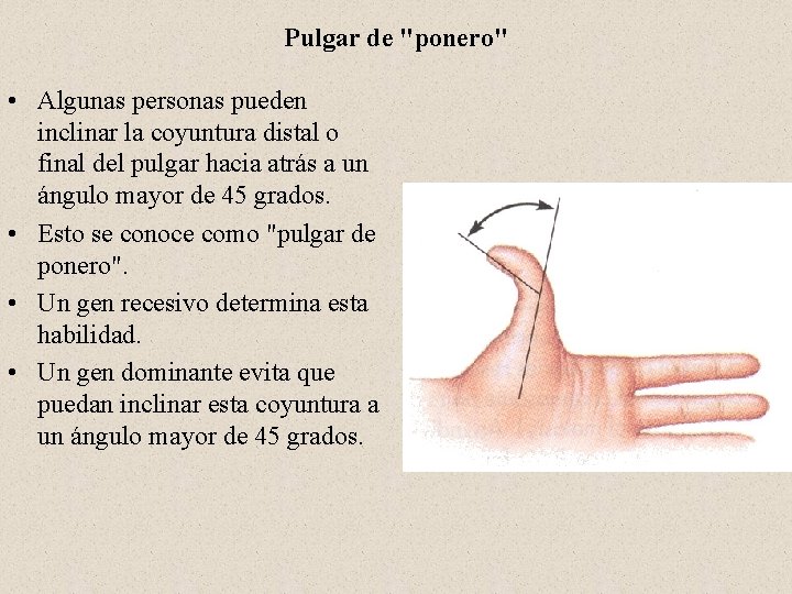 Pulgar de "ponero" • Algunas personas pueden inclinar la coyuntura distal o final del