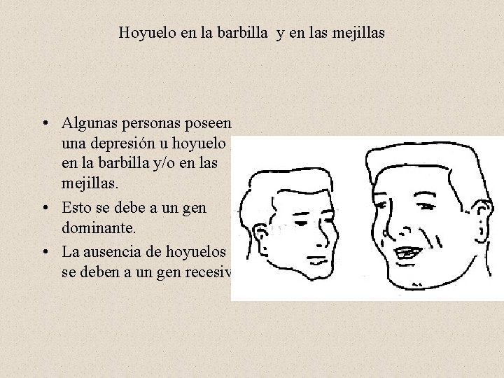 Hoyuelo en la barbilla y en las mejillas • Algunas personas poseen una depresión