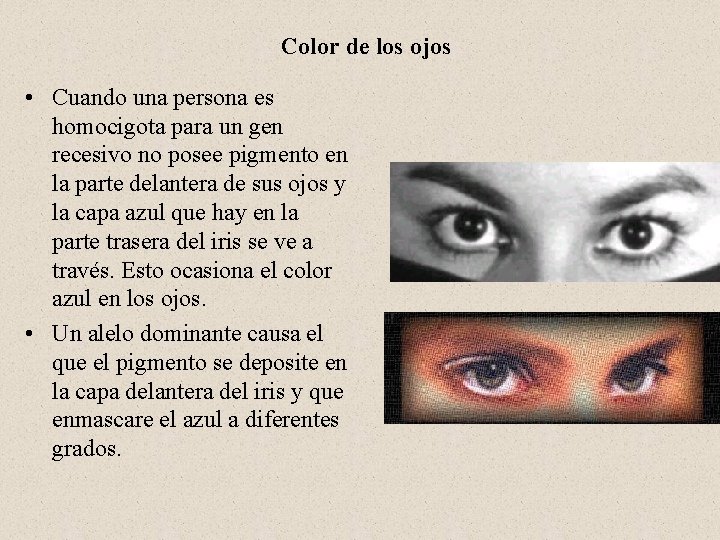 Color de los ojos • Cuando una persona es homocigota para un gen recesivo