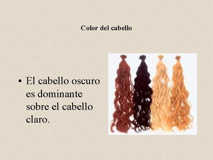 Color del cabello • El cabello oscuro es dominante sobre el cabello claro. 