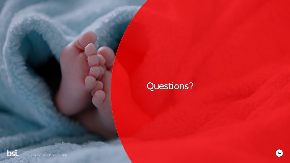 Questions? 14 Copyright © 2019 BSI. All rights reserved 