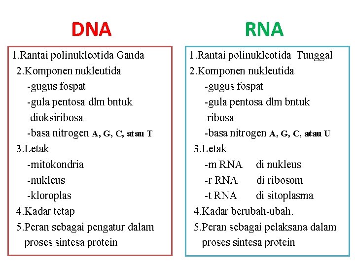 DNA RNA 1. Rantai polinukleotida Ganda 2. Komponen nukleutida -gugus fospat -gula pentosa dlm