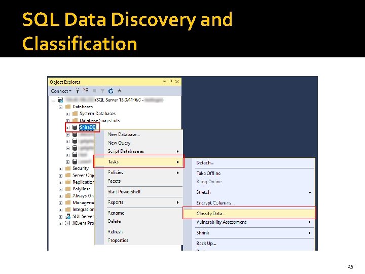 SQL Data Discovery and Classification 25 