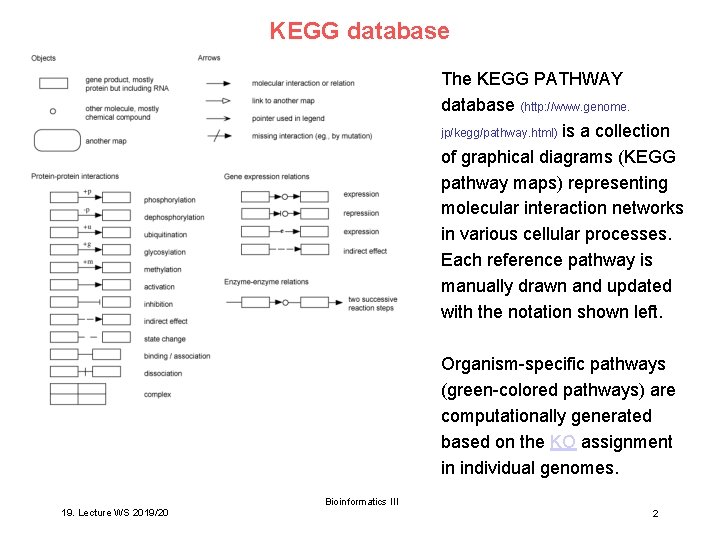 KEGG database The KEGG PATHWAY database (http: //www. genome. jp/kegg/pathway. html) is a collection