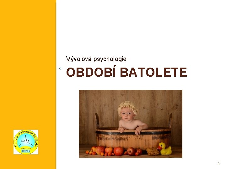 Vývojová psychologie OBDOBÍ BATOLETE 3 