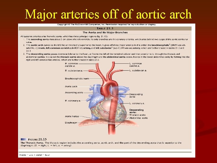 Major arteries off of aortic arch 