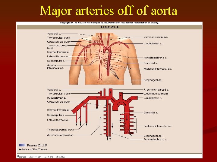Major arteries off of aorta 