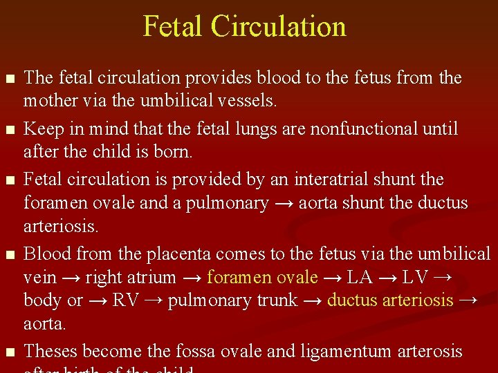 Fetal Circulation n n The fetal circulation provides blood to the fetus from the