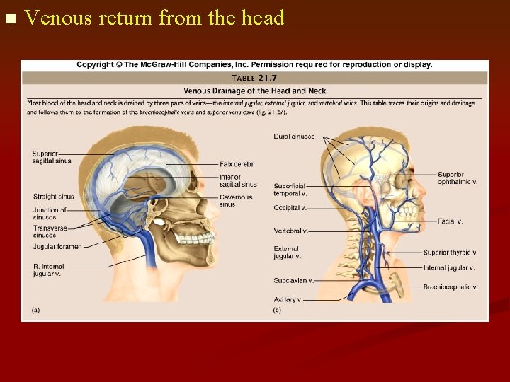 n Venous return from the head 
