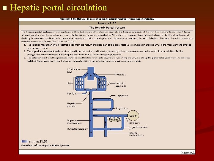 n Hepatic portal circulation 