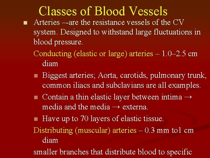 Classes of Blood Vessels n Arteries –-are the resistance vessels of the CV system.