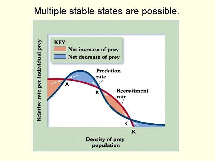 Multiple stable states are possible. 