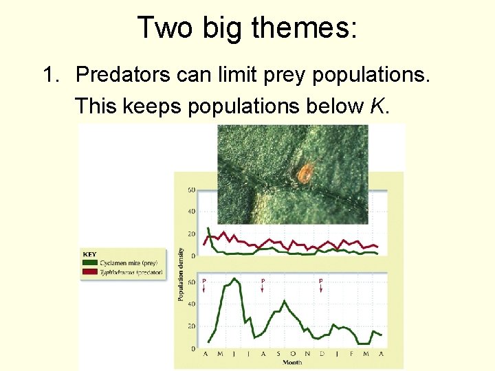 Two big themes: 1. Predators can limit prey populations. This keeps populations below K.