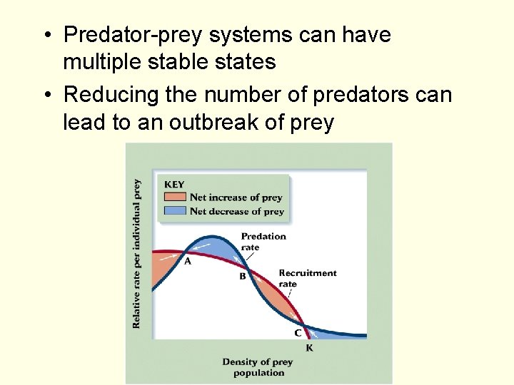  • Predator-prey systems can have multiple stable states • Reducing the number of