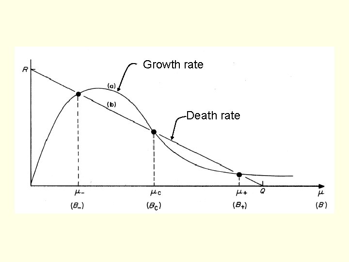 Growth rate Death rate 