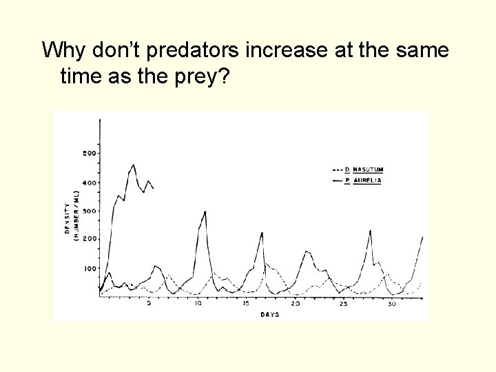 Why don’t predators increase at the same time as the prey? 