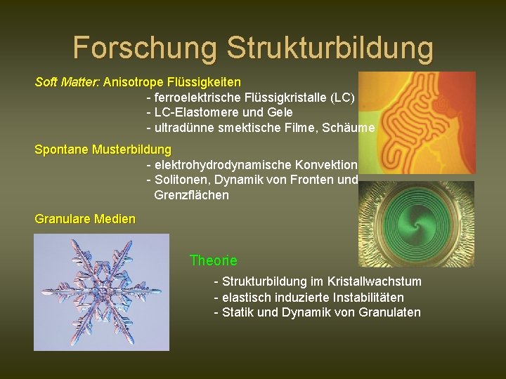 Forschung Strukturbildung Soft Matter: Anisotrope Flüssigkeiten - ferroelektrische Flüssigkristalle (LC) - LC-Elastomere und Gele