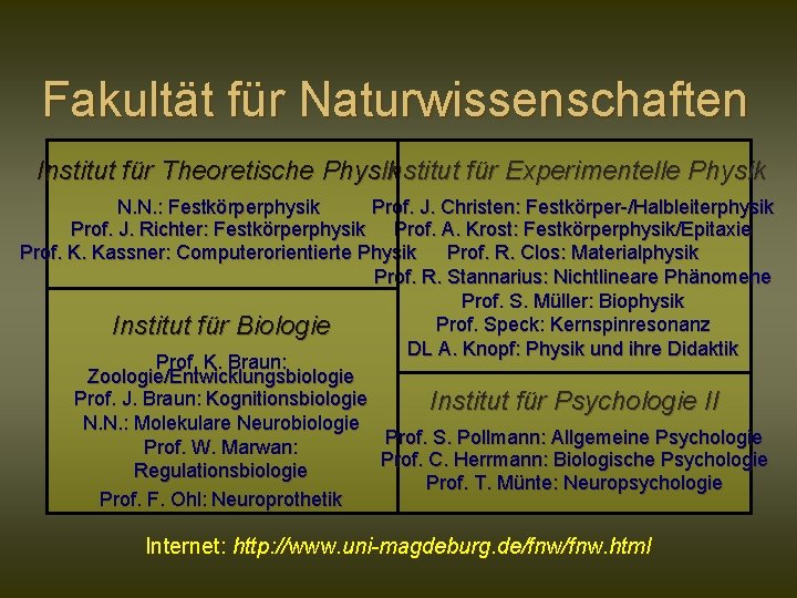 Fakultät für Naturwissenschaften Institut für Theoretische Physik Institut für Experimentelle Physik N. N. :