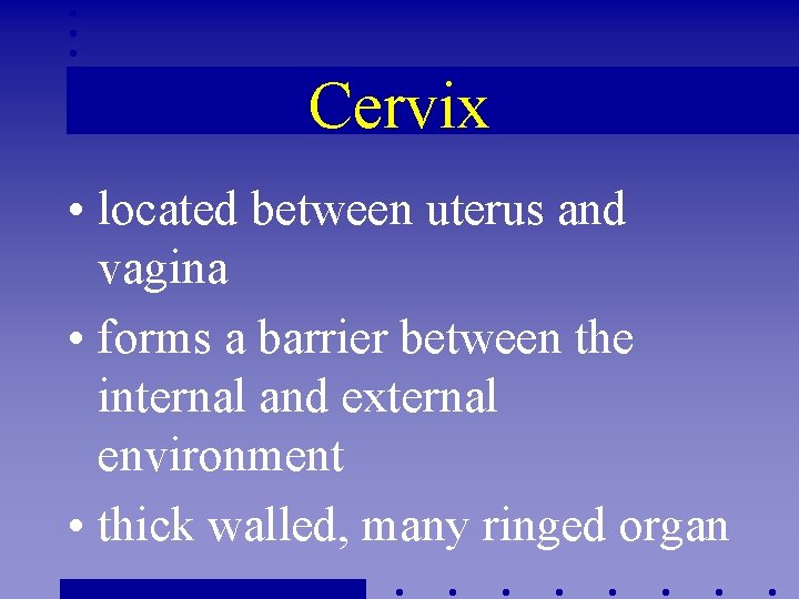 Cervix • located between uterus and vagina • forms a barrier between the internal