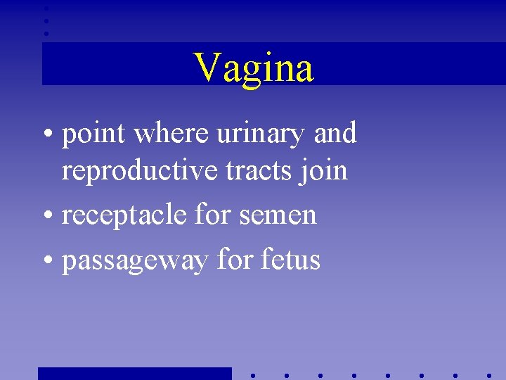 Vagina • point where urinary and reproductive tracts join • receptacle for semen •