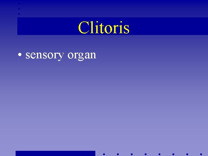 Clitoris • sensory organ 