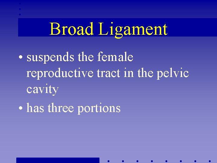 Broad Ligament • suspends the female reproductive tract in the pelvic cavity • has