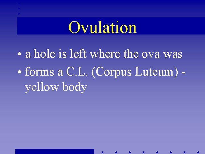 Ovulation • a hole is left where the ova was • forms a C.