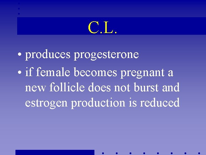 C. L. • produces progesterone • if female becomes pregnant a new follicle does