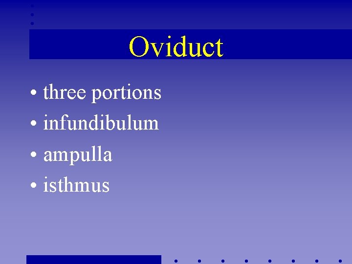 Oviduct • three portions • infundibulum • ampulla • isthmus 