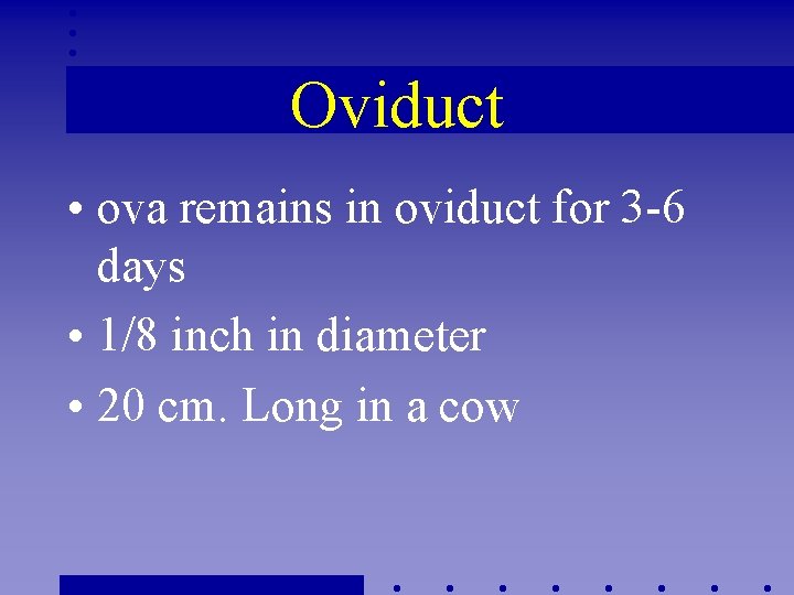 Oviduct • ova remains in oviduct for 3 -6 days • 1/8 inch in