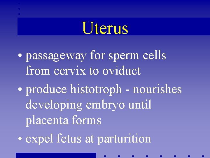 Uterus • passageway for sperm cells from cervix to oviduct • produce histotroph -
