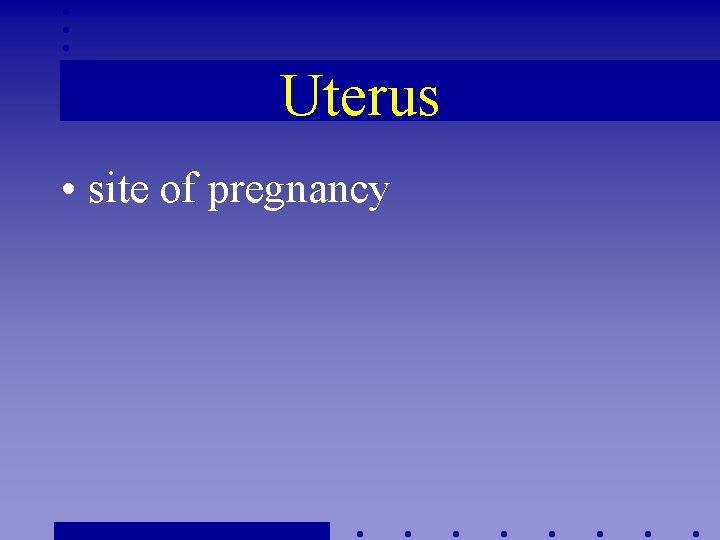 Uterus • site of pregnancy 