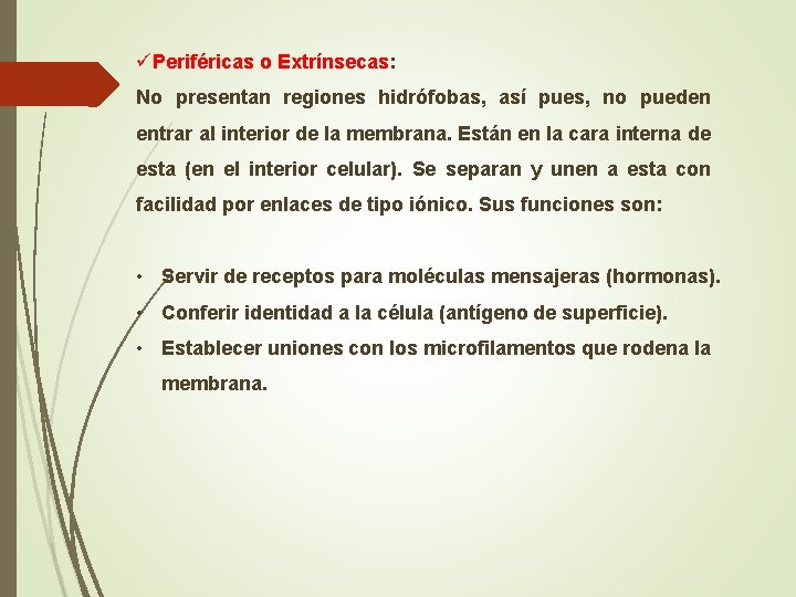 üPeriféricas o Extrínsecas: No presentan regiones hidrófobas, así pues, no pueden entrar al interior