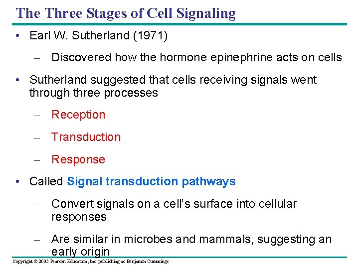 The Three Stages of Cell Signaling • Earl W. Sutherland (1971) – Discovered how