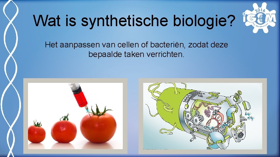 Synthetische biologie In de praktijk Wat is synthetische