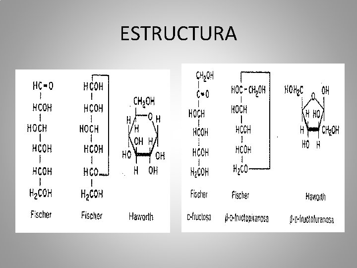 ESTRUCTURA 