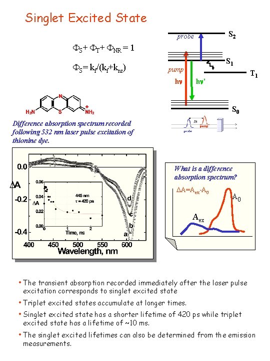 Singlet Excited State S 2 probe FS+ FT+ FNR = 1 FS= kf/(kf+knr) S