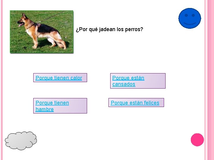 ¿Por qué jadean los perros? Porque tienen calor Porque tienen hambre Porque están cansados